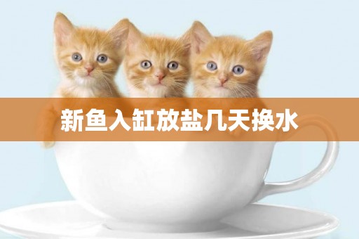 新魚入缸放鹽幾天換水