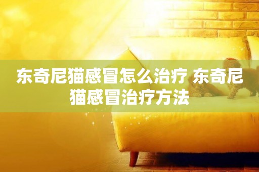東奇尼貓感冒怎么治療 東奇尼貓感冒治療方法
