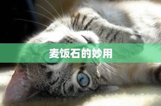麥飯石的妙用