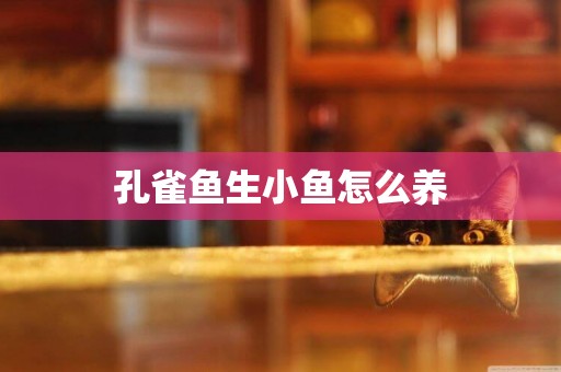 孔雀魚生小魚怎么養