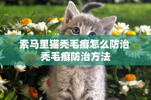 索馬里貓禿毛癬怎么防治 禿毛癬防治方法