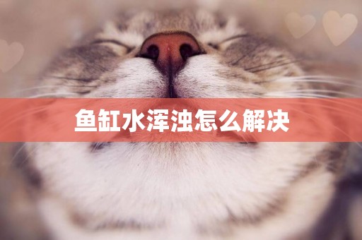 魚缸水渾濁怎么解決