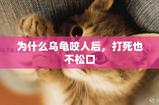 為什么烏龜咬人后，打死也不松口