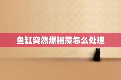 魚缸突然爆褐藻怎么處理