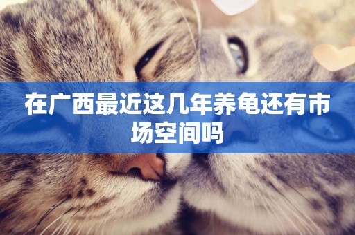 在廣西最近這幾年養龜還有市場空間嗎