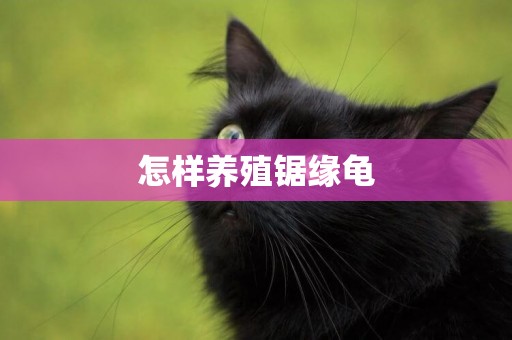 怎樣養殖鋸緣龜