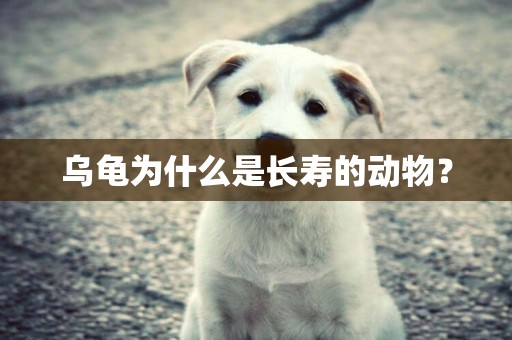 烏龜為什么是長壽的動物？