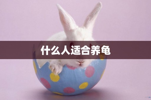什么人適合養龜