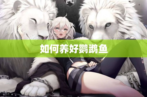 如何養好鸚鵡魚