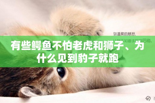 有些鱷魚不怕老虎和獅子、為什么見到豹子就跑