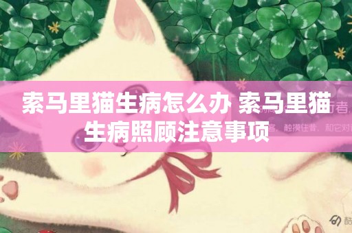 索馬里貓生病怎么辦 索馬里貓生病照顧注意事項