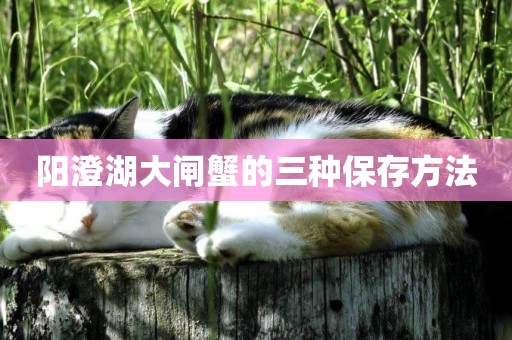 陽澄湖大閘蟹的三種保存方法