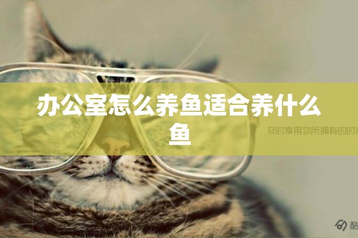 辦公室怎么養魚適合養什么魚