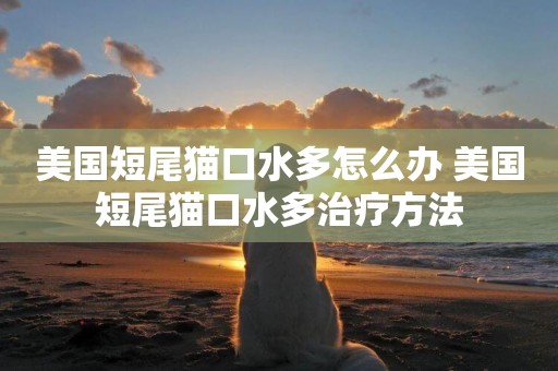 美國短尾貓口水多怎么辦 美國短尾貓口水多治療方法