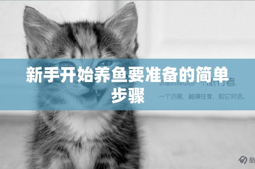 新手開始養魚要準備的簡單步驟