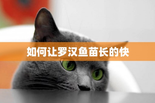 如何讓羅漢魚苗長的快