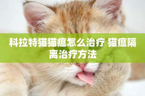 科拉特貓貓瘟怎么治療 貓瘟隔離治療方法