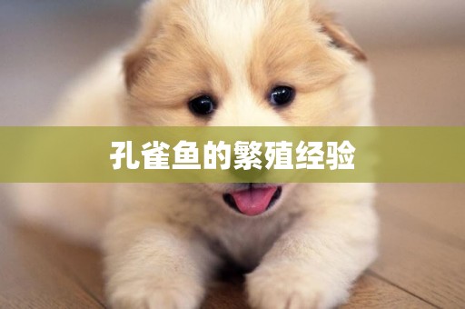 孔雀魚的繁殖經驗