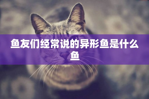 魚友們經常說的異形魚是什么魚