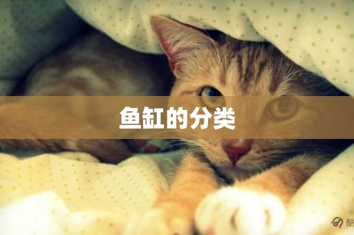 魚缸的分類