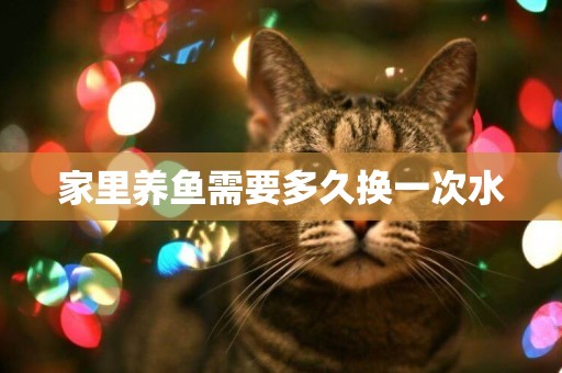 家里養魚需要多久換一次水