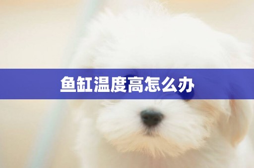 魚缸溫度高怎么辦