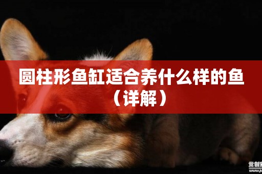 圓柱形魚缸適合養什么樣的魚（詳解）