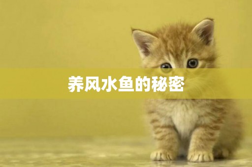養風水魚的秘密