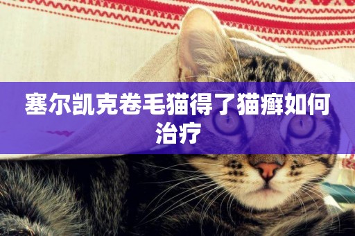 塞爾凱克卷毛貓得了貓癬如何治療