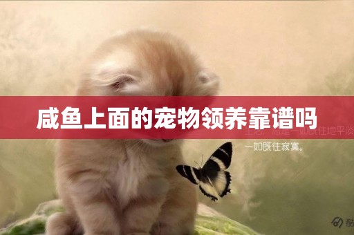 咸魚上面的寵物領養靠譜嗎