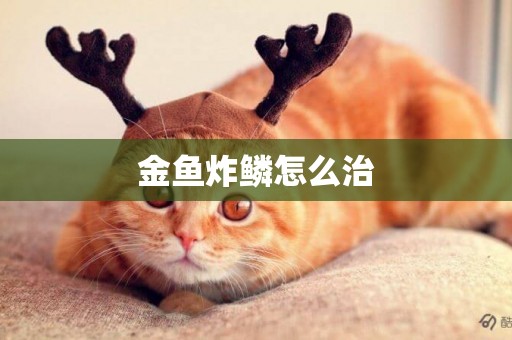 金魚炸鱗怎么治