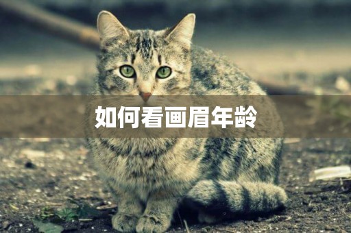 如何看畫眉年齡