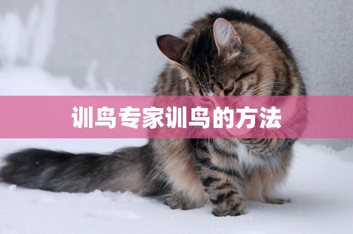訓鳥專家訓鳥的方法