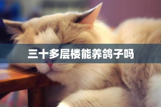 三十多層樓能養鴿子嗎