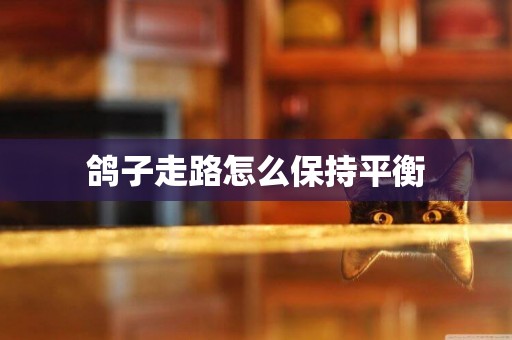 鴿子走路怎么保持平衡