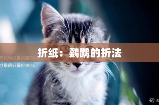 折紙：鸚鵡的折法