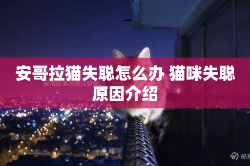 安哥拉貓失聰怎么辦 貓咪失聰原因介紹