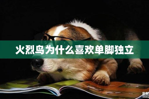 火烈鳥為什么喜歡單腳獨立