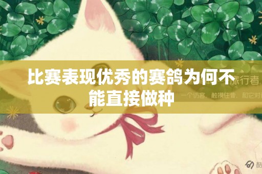 比賽表現優秀的賽鴿為何不能直接做種