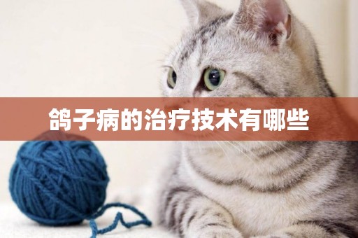 鴿子病的治療技術有哪些