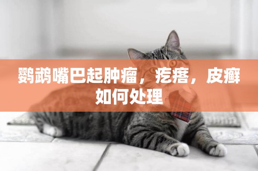 鸚鵡嘴巴起腫瘤，疙瘩，皮癬如何處理