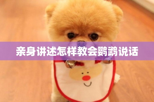 親身講述怎樣教會鸚鵡說話
