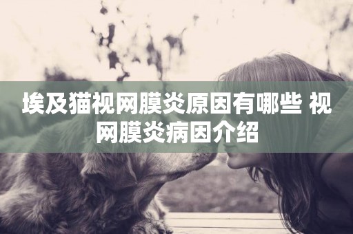 埃及貓視網膜炎原因有哪些 視網膜炎病因介紹