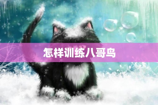 怎樣訓練八哥鳥