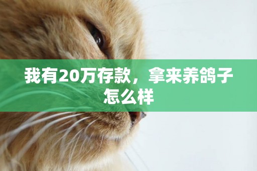 我有20萬存款，拿來養鴿子怎么樣