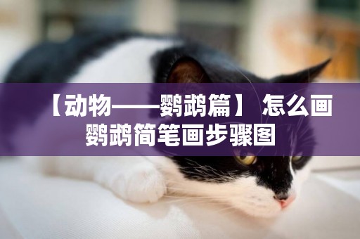 【動物——鸚鵡篇】 怎么畫鸚鵡簡筆畫步驟圖