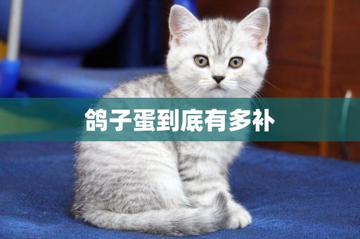 鴿子蛋到底有多補