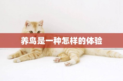 養鳥是一種怎樣的體驗