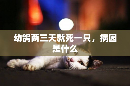 幼鴿兩三天就死一只，病因是什么