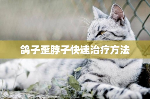 鴿子歪脖子快速治療方法